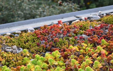 the cost of Innerleithen green roof installation