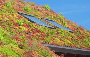Innerleithen living roof systems