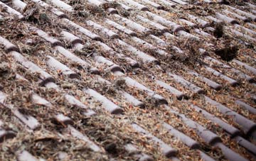 Innerleithen roof cleaning companies